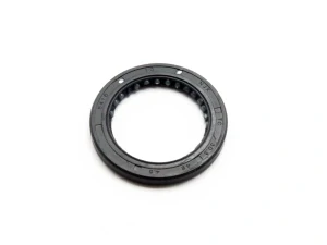 Gufero 30x42x4,5 Stomp, DemonX, WPB